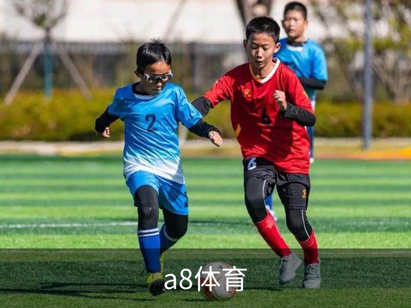 a8体育简介
